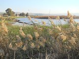 Sea of Galilee